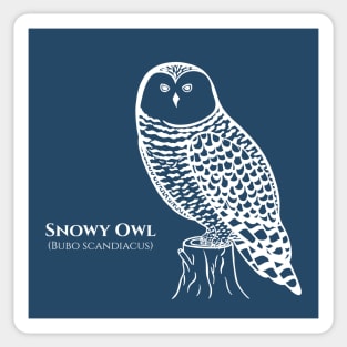 Snowy Owl with Common and Scientific Names - owl lovers bird design Sticker